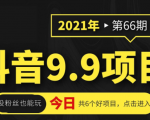 抖音9.9课程项目,没粉丝也能卖课,一天300+粉易变现-第一资源库