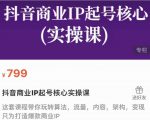 抖音商业IP起号核心实操课，带你玩转算法，流量，内容，架构，变现-第一资源库