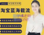 2022淘宝蓝海截流攻略,淘宝蓝海截流选品上货实操讲解-第一资源库