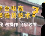外面收费2980的全平台电商白嫖撸货技术(仅揭秘勿操作-商家防范必看)-第一资源库