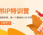 小红书IP特训营:从搭建-制作-爆款脚本等等,做一个赚钱的小红书号-第一资源库