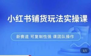 小红书铺货玩法实操课,流量大,竞争小,非常好做,新赛道,可复制性强,可团队操作-第一资源库