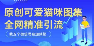 黑科技纯原创可爱猫咪图片,全网精准引流,实操5个VX号被加频繁-第一资源库