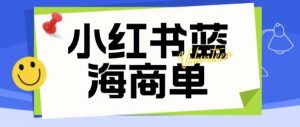 价值2980的小红书商单项目暴力起号玩法,一单收益200-300(可批量放大)-第一资源库