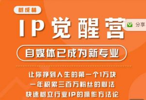 树成林·IP觉醒营,快速树立行业IP的操作方法论,让你赚到人生的第一个1万块(更新)-第一资源库