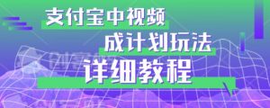 避坑玩法:支付宝中视频分成计划玩法实操详解【揭秘】-第一资源库