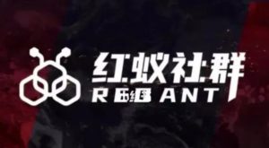 社群运营:红蚁社群【48节落地系统课程+2000人高端社群】-第一资源库