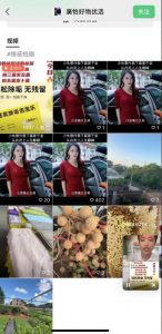 外面收费198的最新视频号连怼技术,条条原创,条条爆单【揭秘】-第一资源库