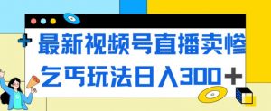 最新视频号直播卖惨乞讨玩法,流量嘎嘎滴,轻松日入300+-第一资源库