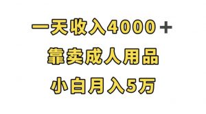 一天收入4000+,靠卖成人用品,小白轻松月入5万【揭秘】-第一资源库