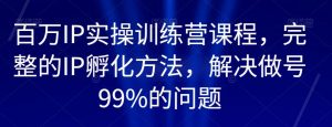 百万IP实操训练营课程,完整的IP孵化方法,解决做号99%的问题-第一资源库