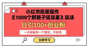 小红书批量操作《1000个野路子信息差》玩法,一分钟制作一个图文,不封号,日引100+创业粉-第一资源库