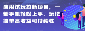 应用试玩拉新项目,一部手机轻松上手,玩法简单高收益可持续性【揭秘】-第一资源库