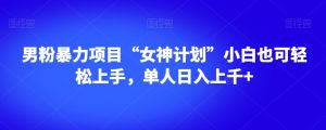 男粉暴力项目“女神计划”小白也可轻松上手,单人日入上千+【揭秘】-第一资源库