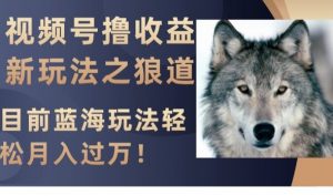 视频号撸收益新玩法之狼道,目前蓝海玩法,轻松月入过万【揭秘】-第一资源库