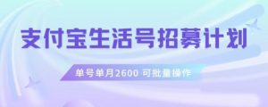 支付宝生活号作者招募计划,单号单月2600,可批量去做,工作室一人一个月轻松1w+【揭秘】-第一资源库