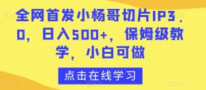 全网首发小杨哥切片IP3.0,日入500+,保姆级教学,小白可做【揭秘】-第一资源库