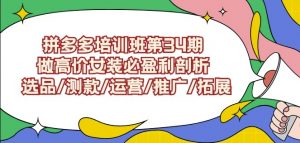 拼多多培训班第34期:做高价女装必盈利剖析选品/测款/运营/推广/拓展-第一资源库