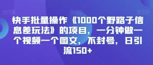 快手批量操作《1000个野路子信息差玩法》的项目,一分钟做一个视频一个图文,不封号,日引流150+【揭秘】-第一资源库