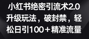 小红书绝密引流术2.0升级玩法,破封禁,轻松日引100+精准流量【揭秘】-第一资源库