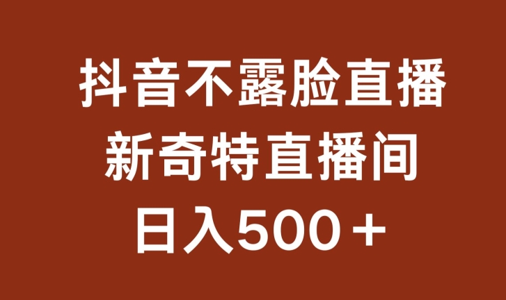 不露脸挂机直播，新奇特直播间，日入500+【揭秘】-第一资源库