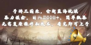 手游三国杀最新蓝海玩法,简单粗暴,无需复杂的操作和技术,看完即可上手【揭秘】-第一资源库