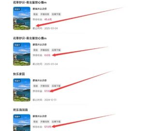 磁力聚星游戏副业陪跑训练营1.0,长期稳定项目,有人一周干了1K+-第一资源库