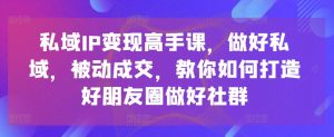 私域IP变现高手课,做好私域,被动成交,教你如何打造好朋友圈做好社群-第一资源库