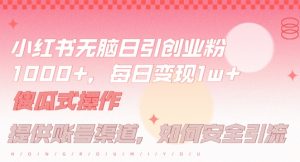 小红书无脑每日引流创业粉500+,小白每天只花半小时,躺赚长尾收益【揭秘】-第一资源库