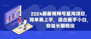 2024最新视频号蓝海项目,简单易上手,适合新手小白,收益长期稳定-第一资源库