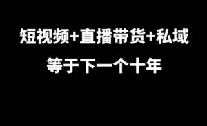 短视频+直播带货+私域等于下一个十年,大佬7年实战经验总结-第一资源库