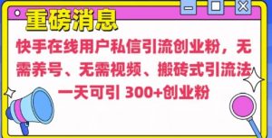 快手最新引流创业粉方法,无需养号、无需视频、搬砖式引流法【揭秘】-第一资源库
