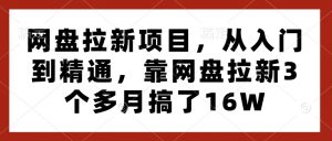 网盘拉新项目,从入门到精通,靠网盘拉新3个多月搞了16W-第一资源库
