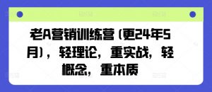 老A营销训练营(更25年1月),轻理论,重实战,轻概念,重本质-第一资源库