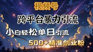 跨平台暴力引流,私域完美闭环,日引500+精准创业粉-第一资源库