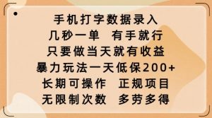 手机打字数据录入，几秒一单，有手就行，只要做当天就有收益，暴力玩法一天低保2张-第一资源库