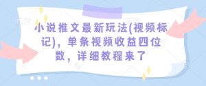 小说推文最新玩法(视频标记)，单条视频收益四位数，详细教程来了-第一资源库