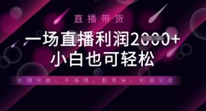 半无人直播带货,一场利润数张,适合所有平台玩法,小白也可轻松-第一资源库