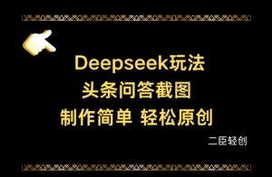 Deepseek头条问答截图，制作简单，轻松原创-第一资源库